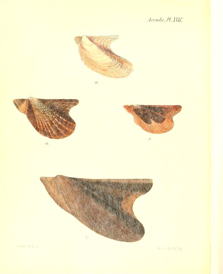 n553_w1150