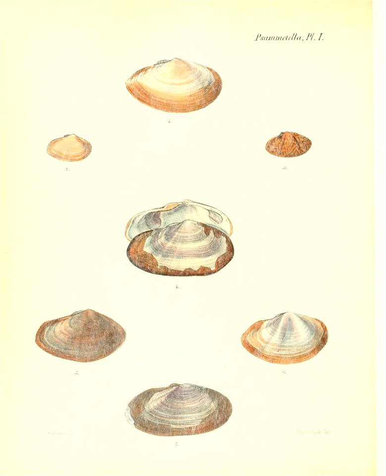 n359_w1150