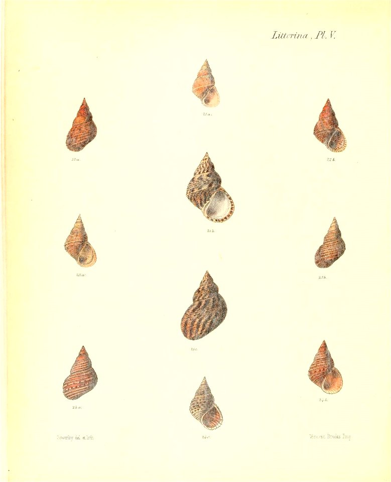 n221_w1150