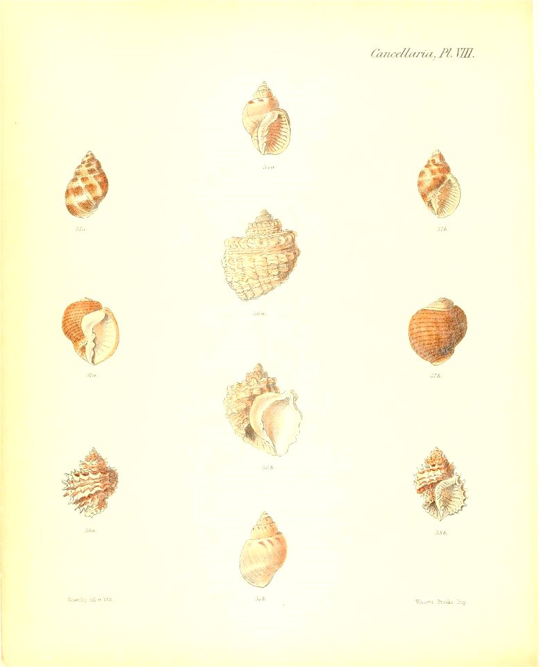 n157_w1150