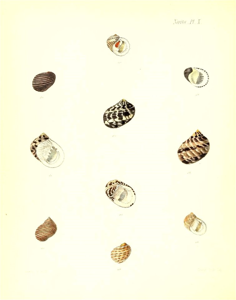 n467_w1150