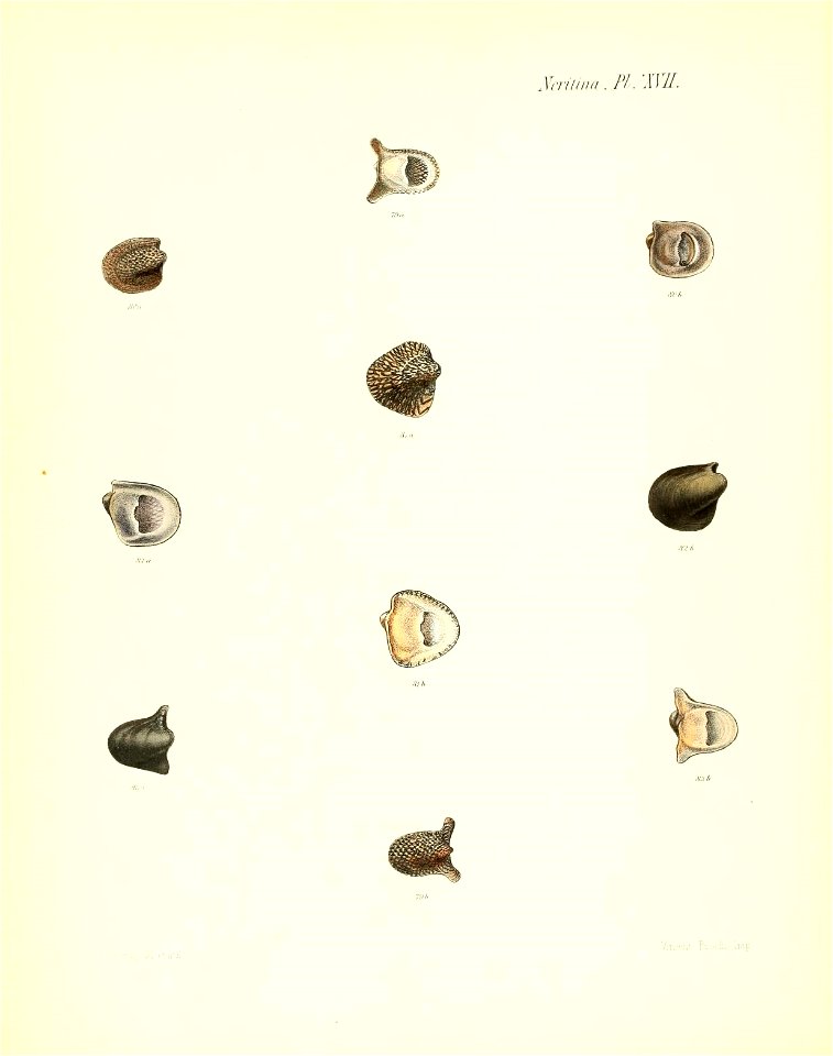 n151_w1150