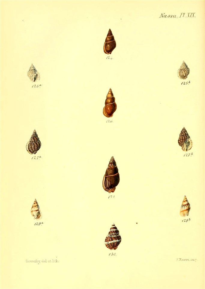 n607_w1150
