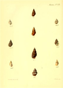 n607_w1150