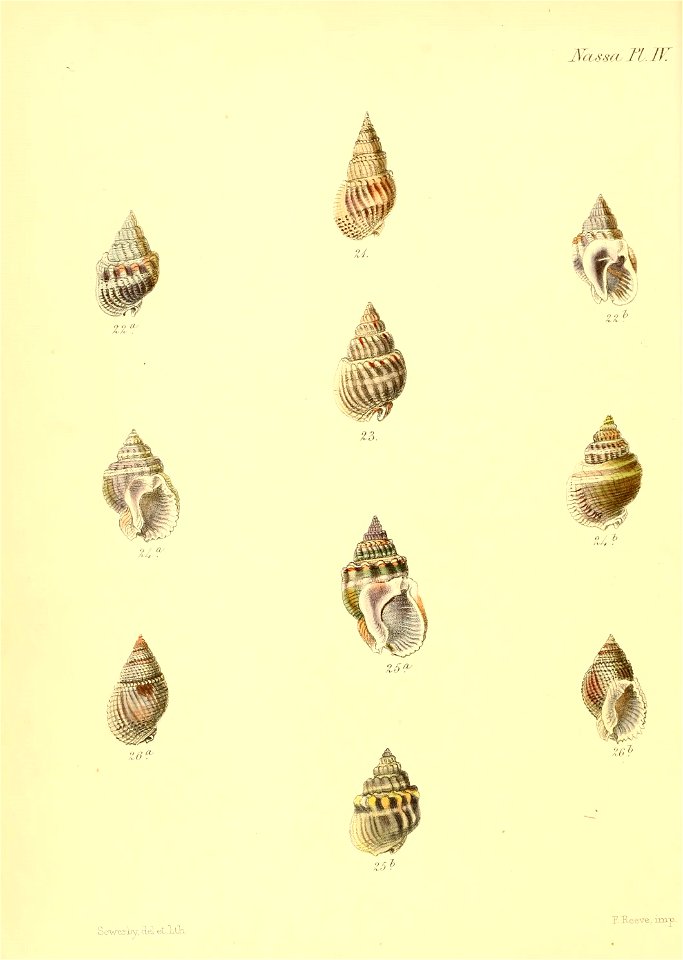 n547_w1150