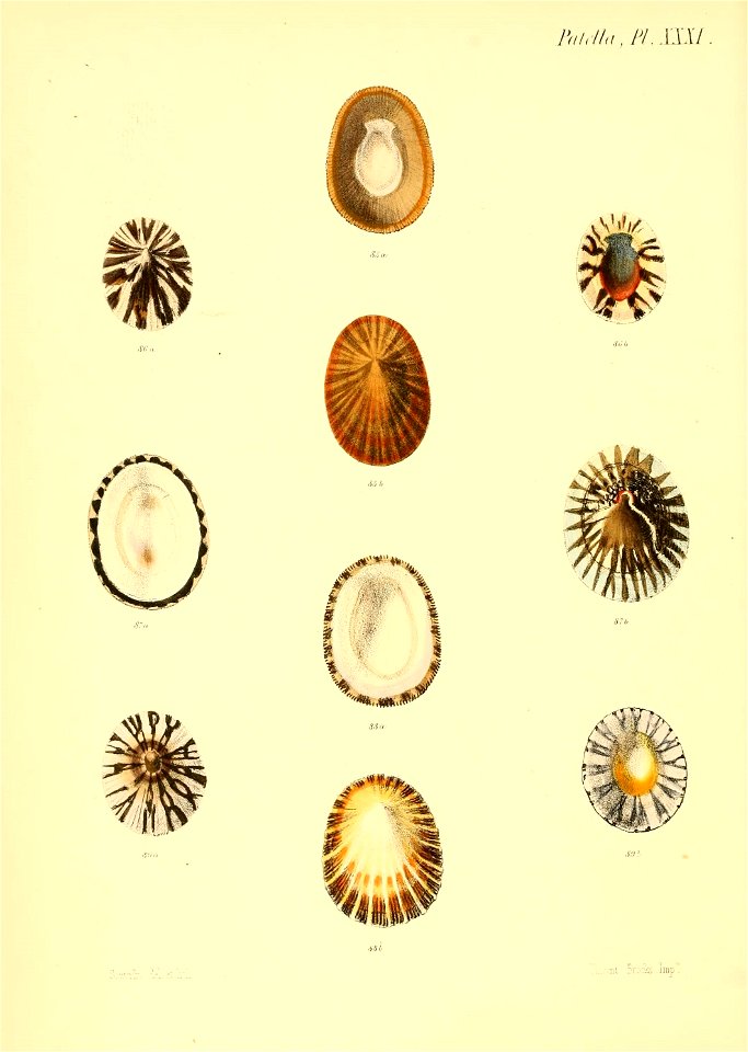 n483_w1150