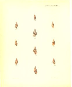n385_w1150