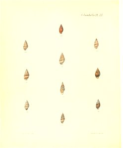 n325_w1150