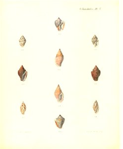 n265_w1150