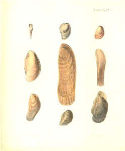 n193_w1150