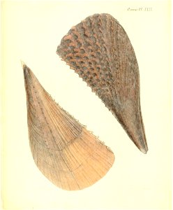 n123_w1150