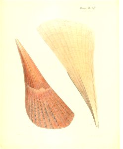 n63_w1150