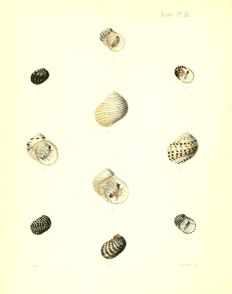 n463_w1150