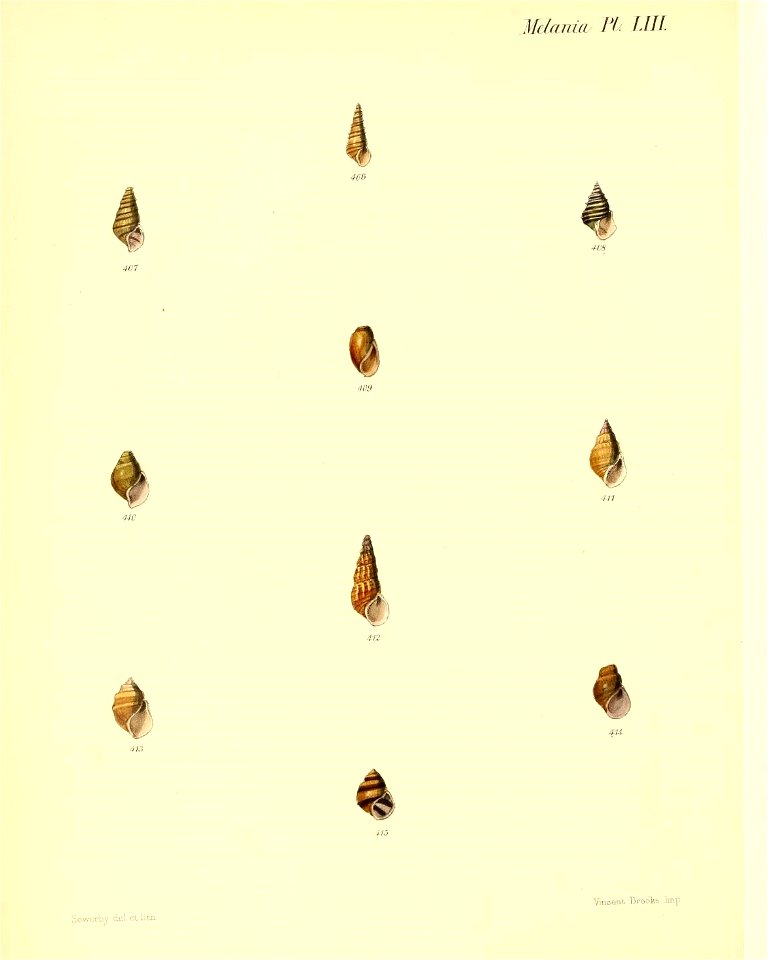 n411_w1150