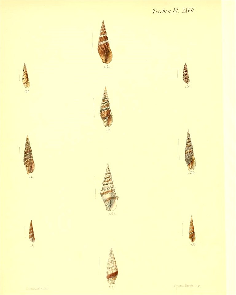 n159_w1150