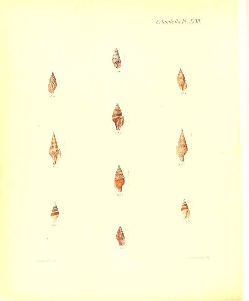 n381_w1150