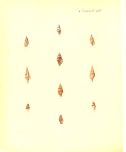 n381_w1150