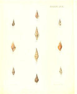 n261_w1150