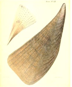 n59_w1150