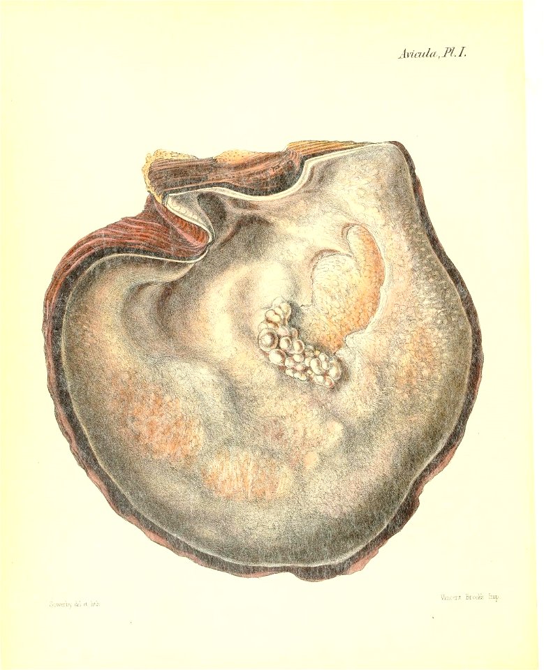 n485_w1150