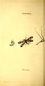n59_w1150