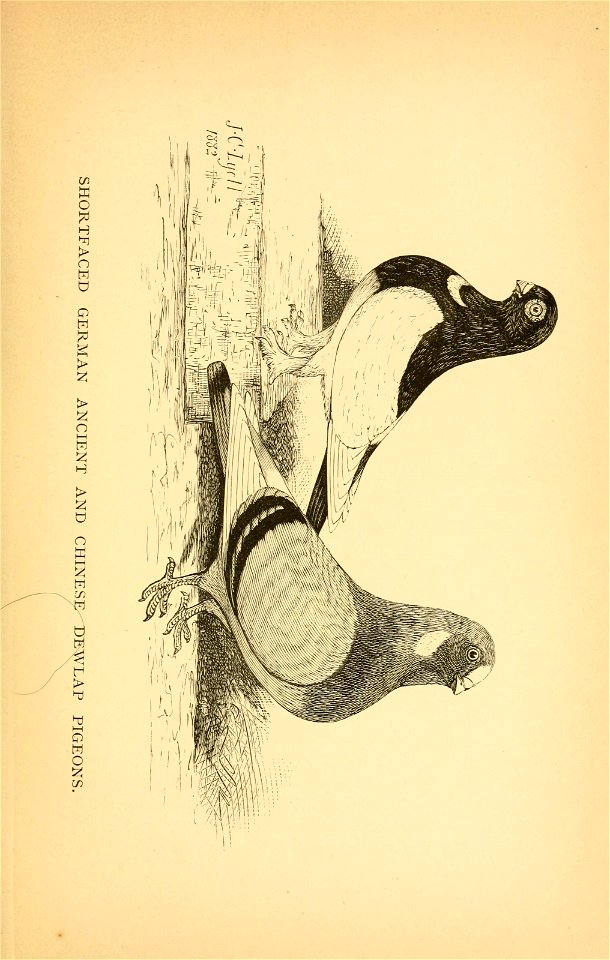 n178_w1150