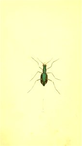 n21_w1150