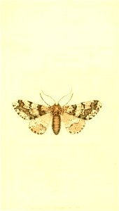 n269_w1150
