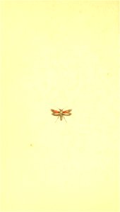 n143_w1150