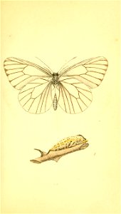 n138_w1150