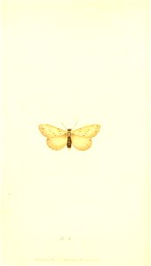 n381_w1150