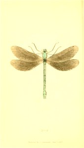 n501_w1150