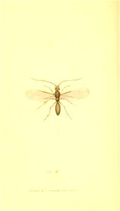n613_w1150