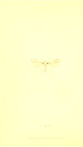 n365_w1150