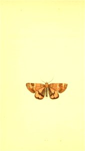 n117_w1150