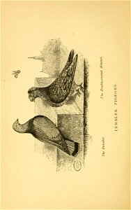 n409_w1150
