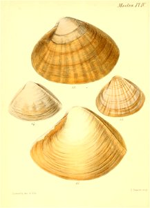 n171_w1150