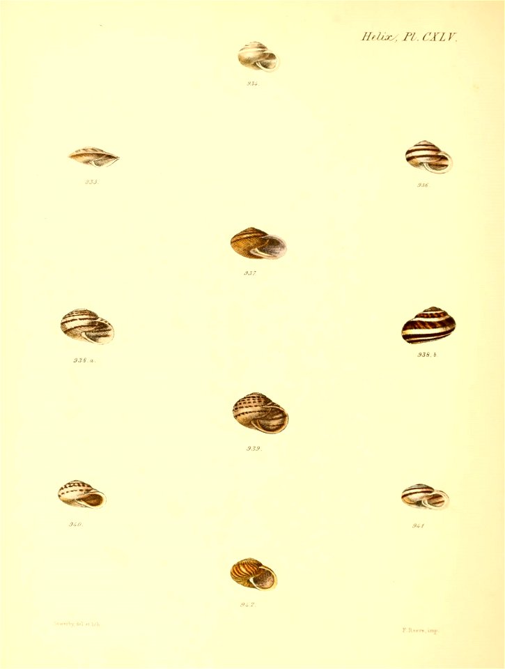 n611_w1150