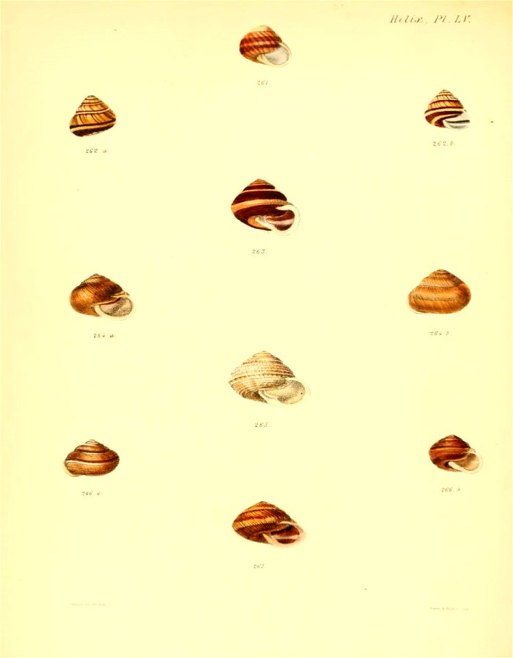 n227_w1150