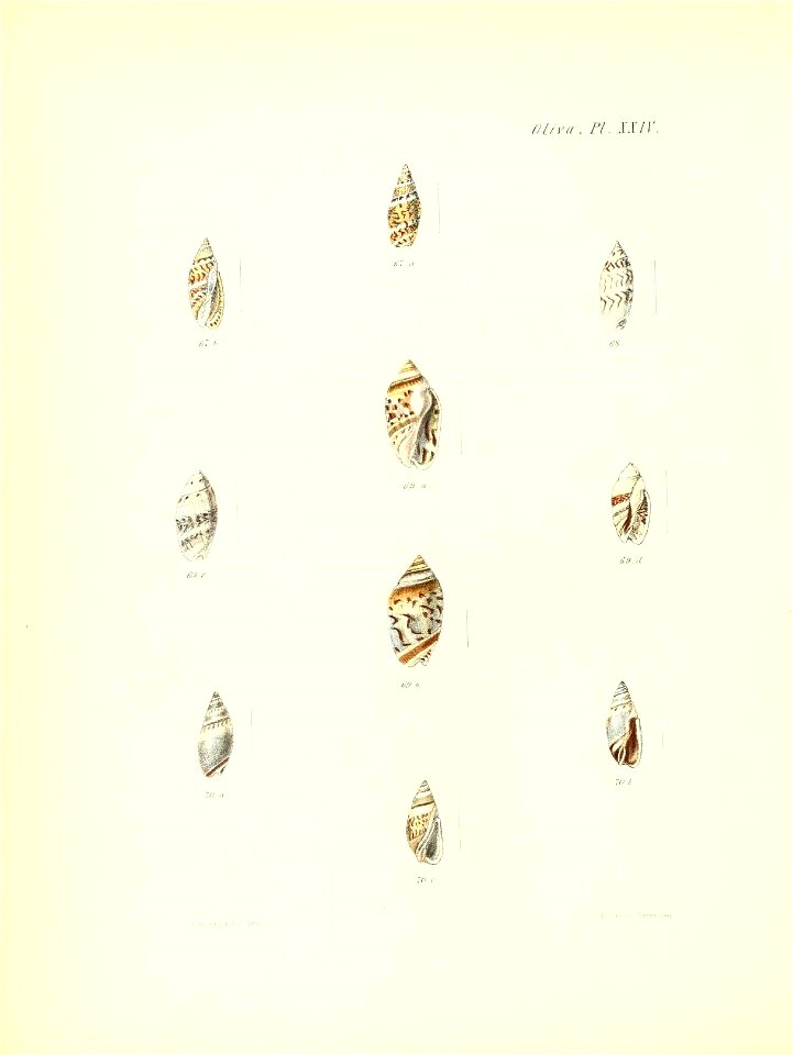 n409_w1150