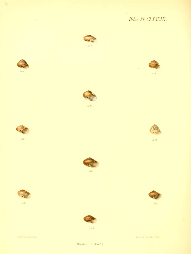 n791_w1150
