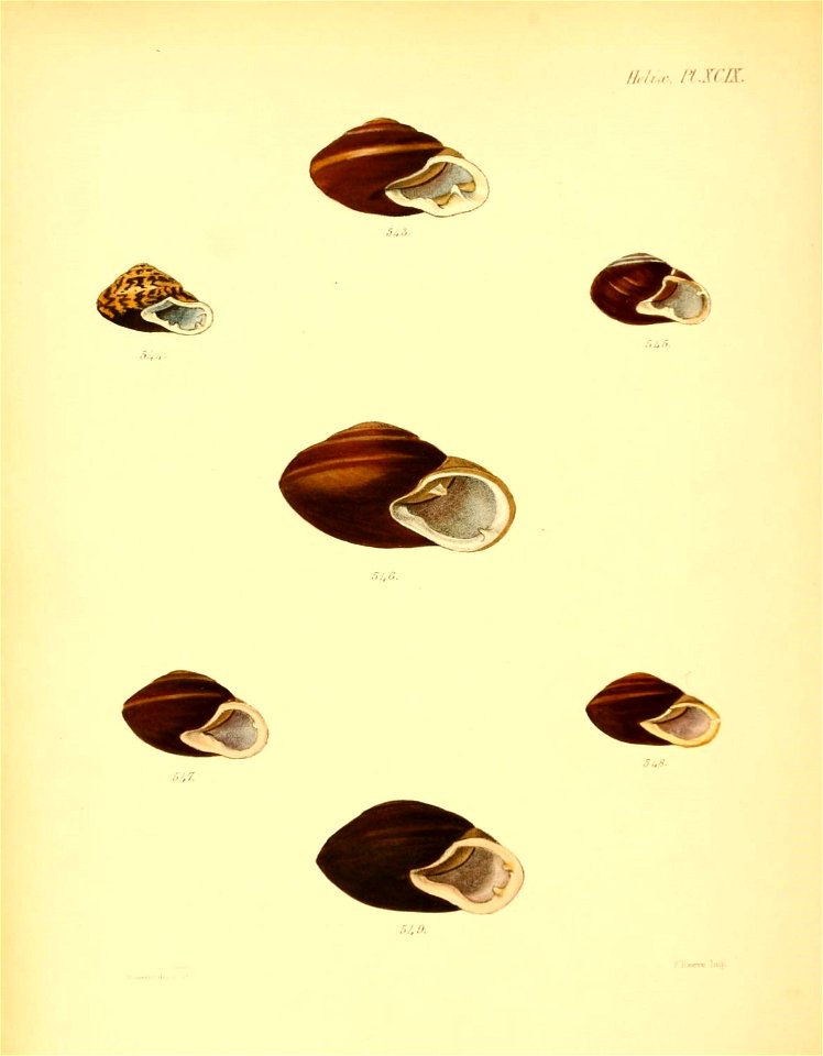n403_w1150