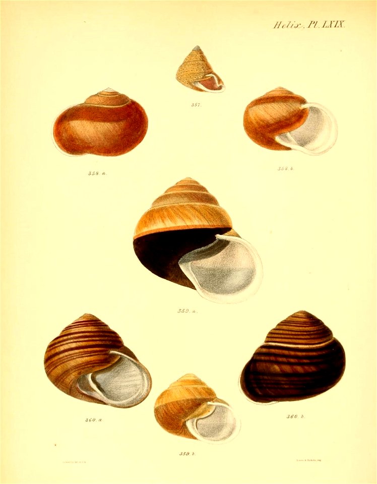 n283_w1150