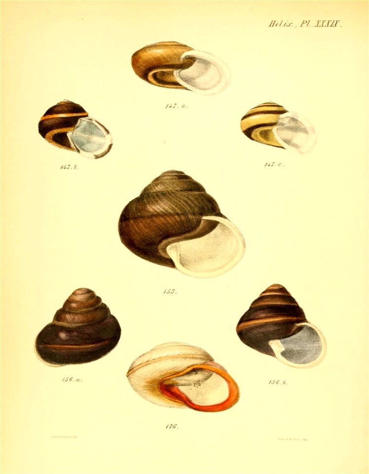 n163_w1150