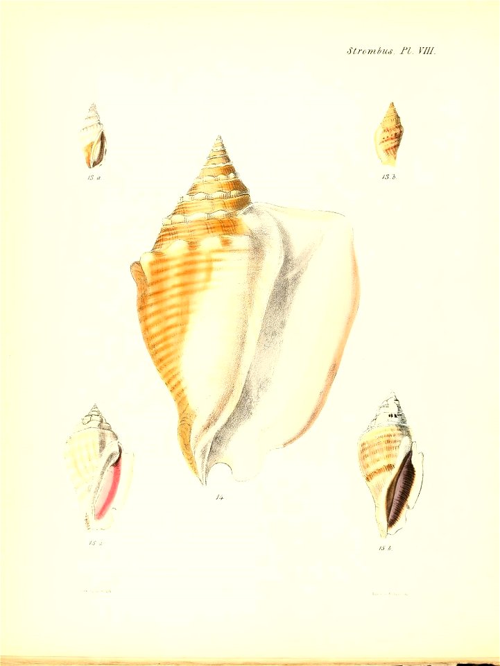n469_w1150