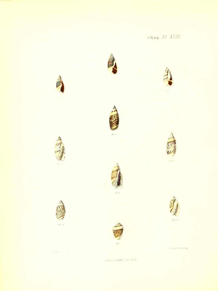 n405_w1150