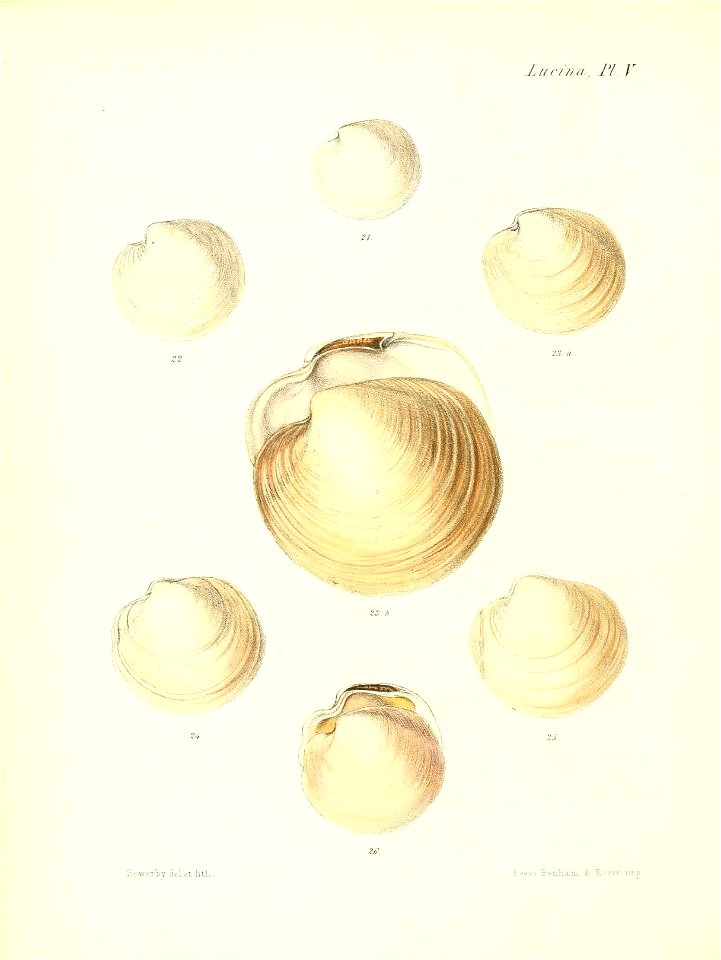 n279_w1150