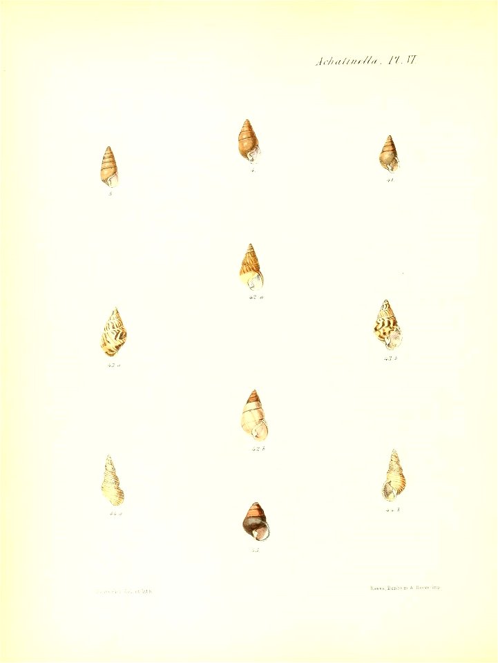 n211_w1150