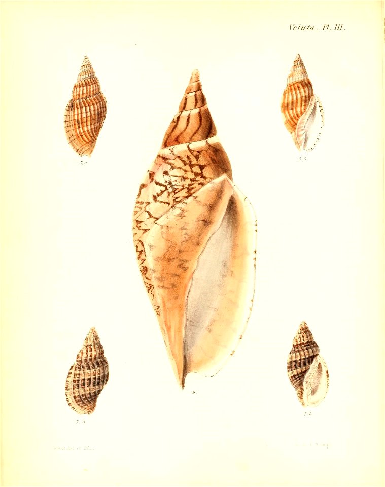 n19_w1150