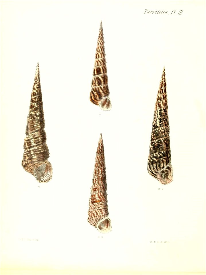 n577_w1150